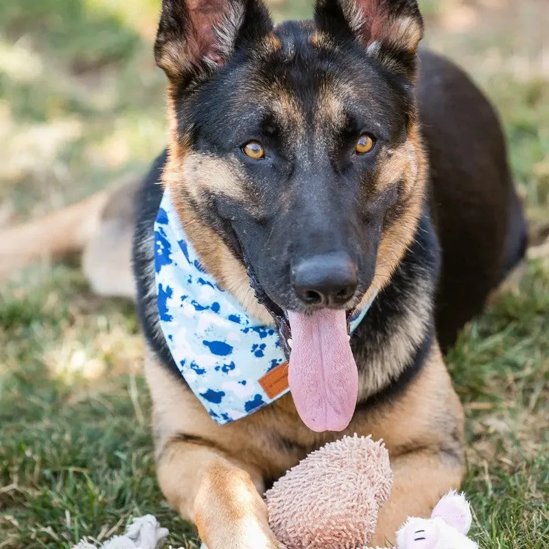 6-Pack Plush Dog Toys with Squeaky Fun