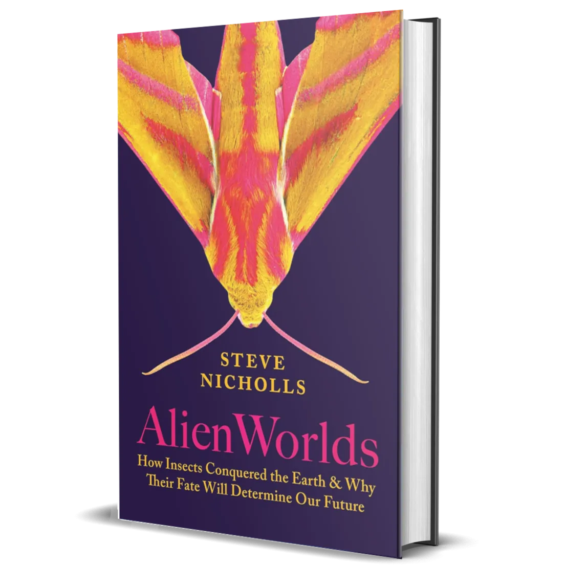 Alien Worlds: How Insects Conquered the Earth, and Why Their Fate Will Determine Our Future