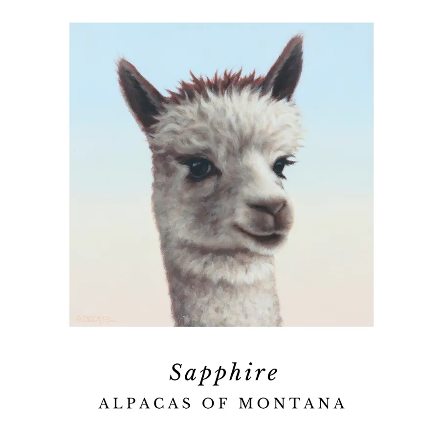 Alpaca Art Prints by Sarah Becktel