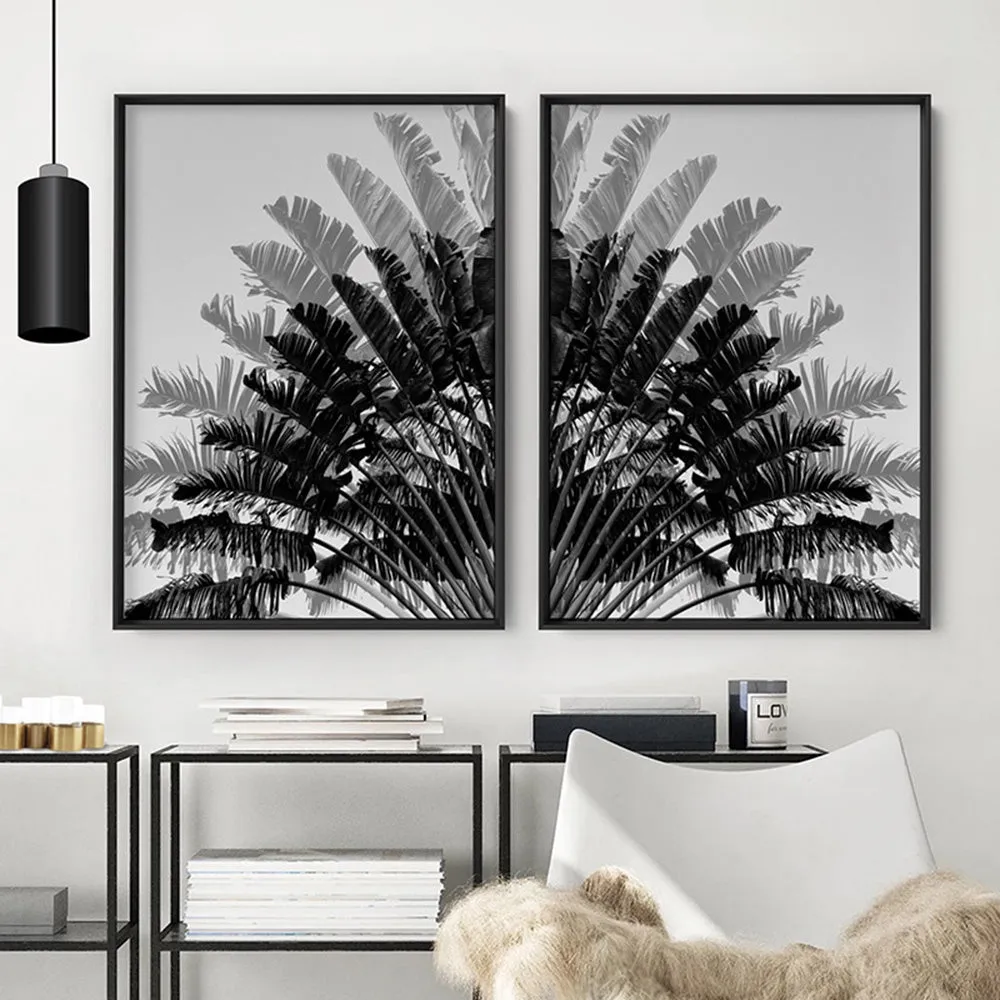 Banana Leaves Palm II | Black & White - Art Print