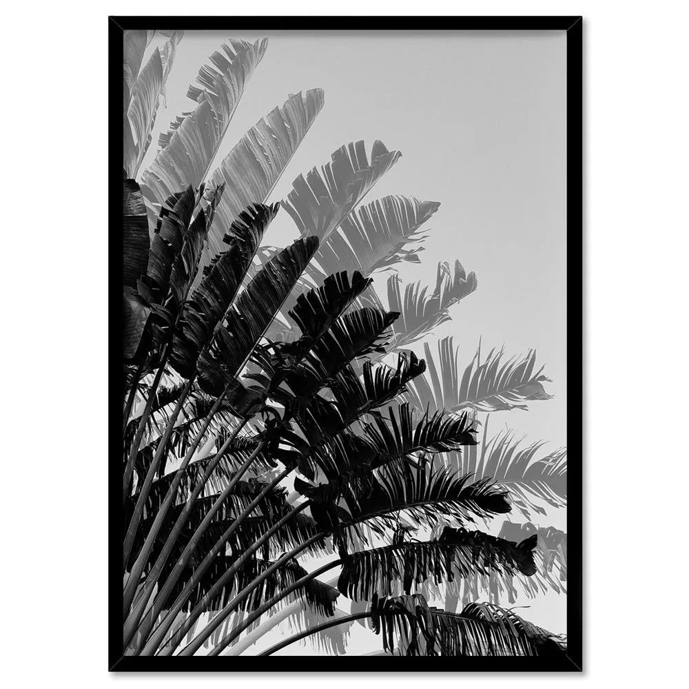 Banana Leaves Palm II | Black & White - Art Print