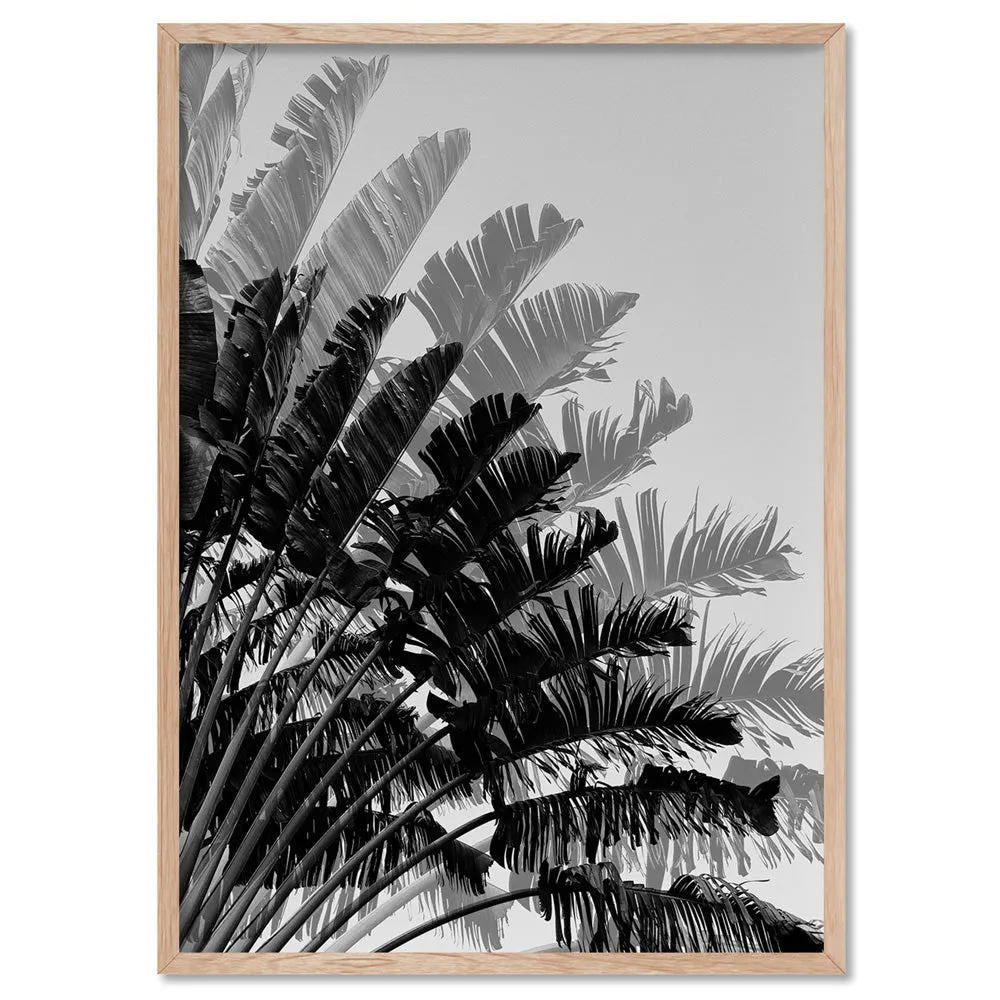 Banana Leaves Palm II | Black & White - Art Print