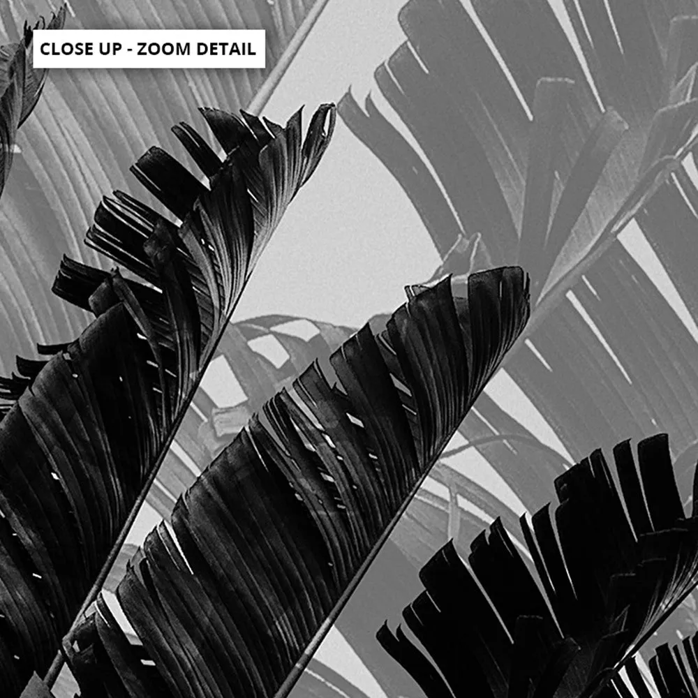 Banana Leaves Palm II | Black & White - Art Print