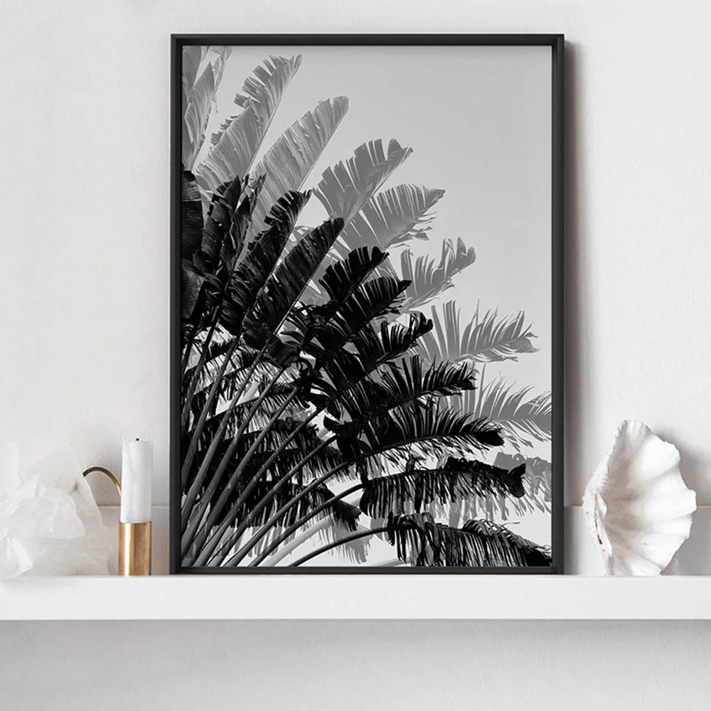 Banana Leaves Palm II | Black & White - Art Print