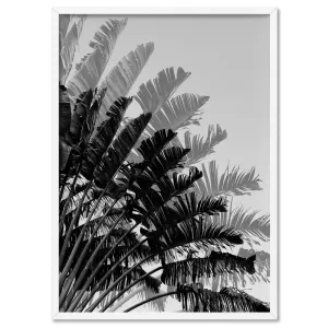 Banana Leaves Palm II | Black & White - Art Print