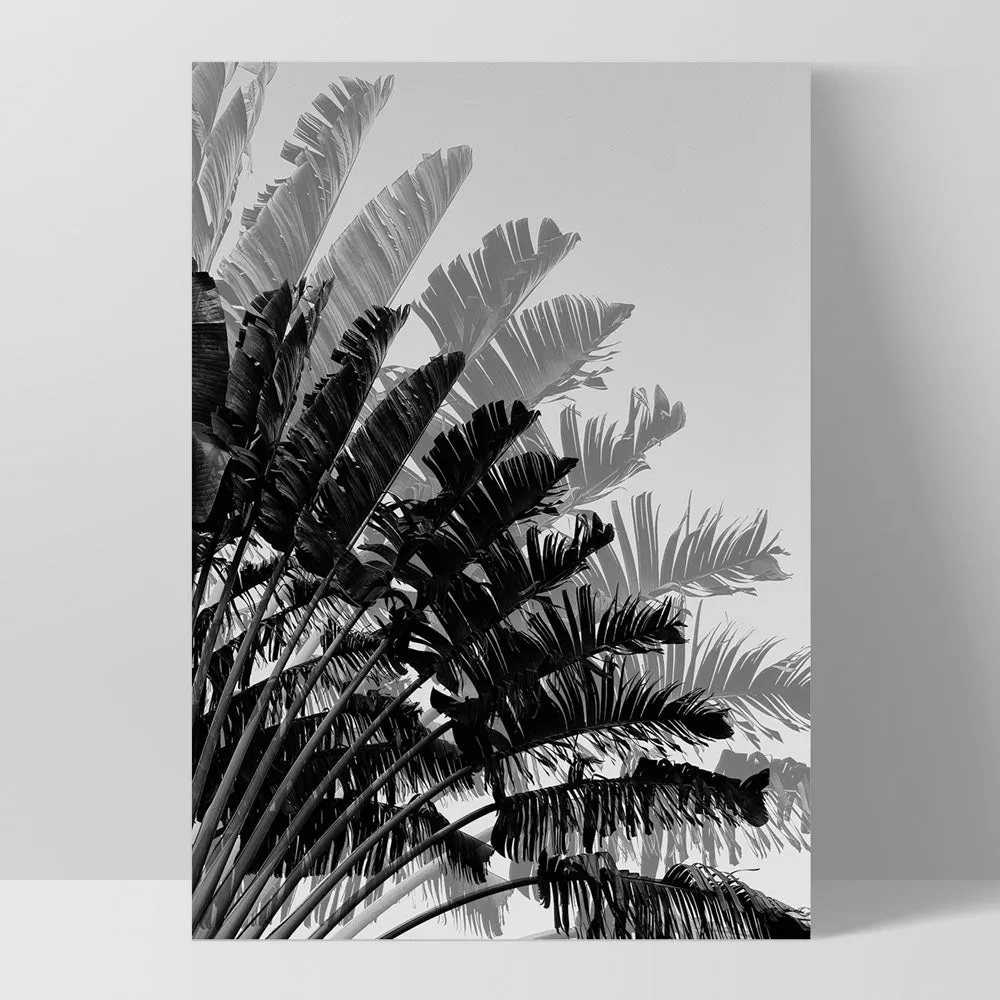 Banana Leaves Palm II | Black & White - Art Print