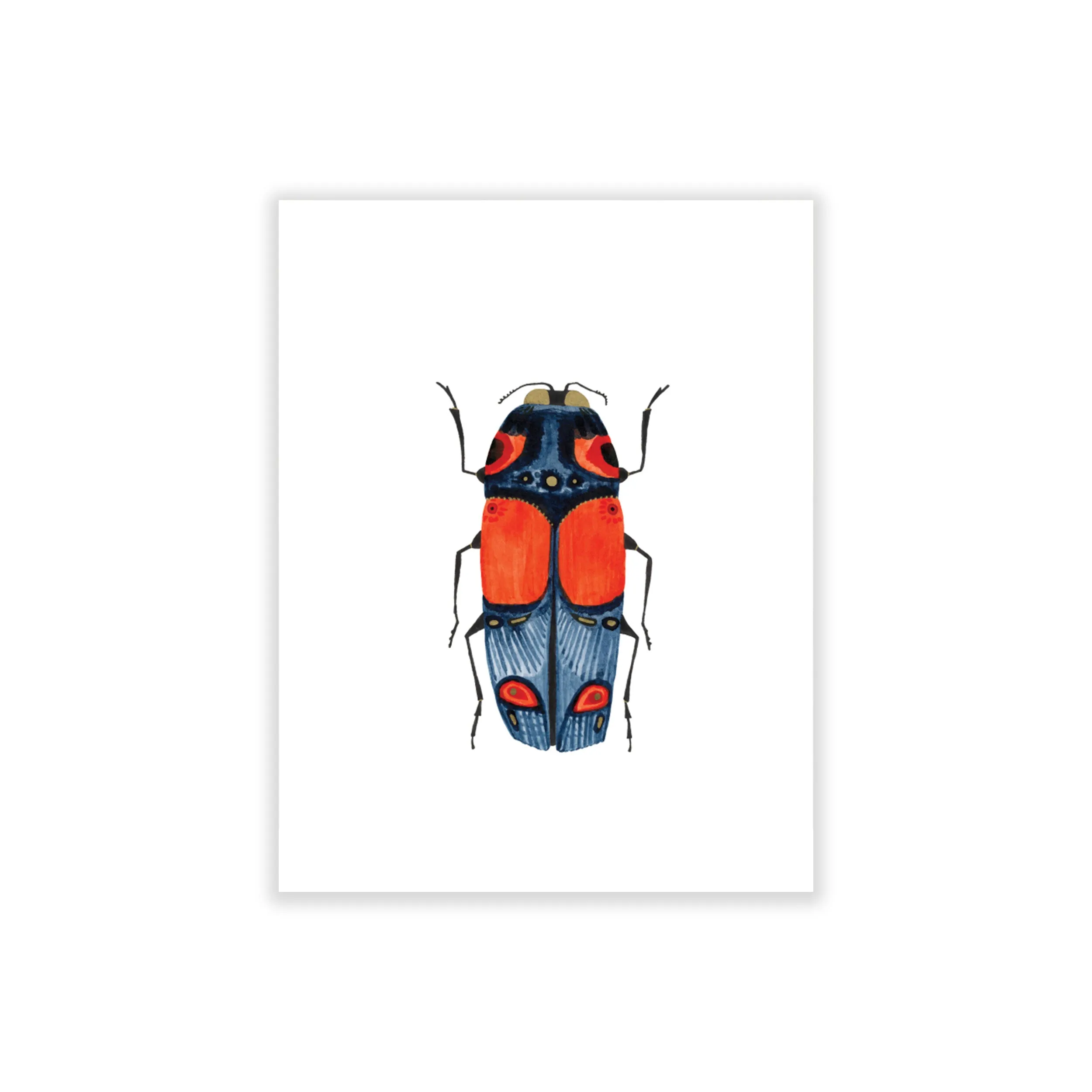 Beetle: Wit, Boxed Blank Note Cards