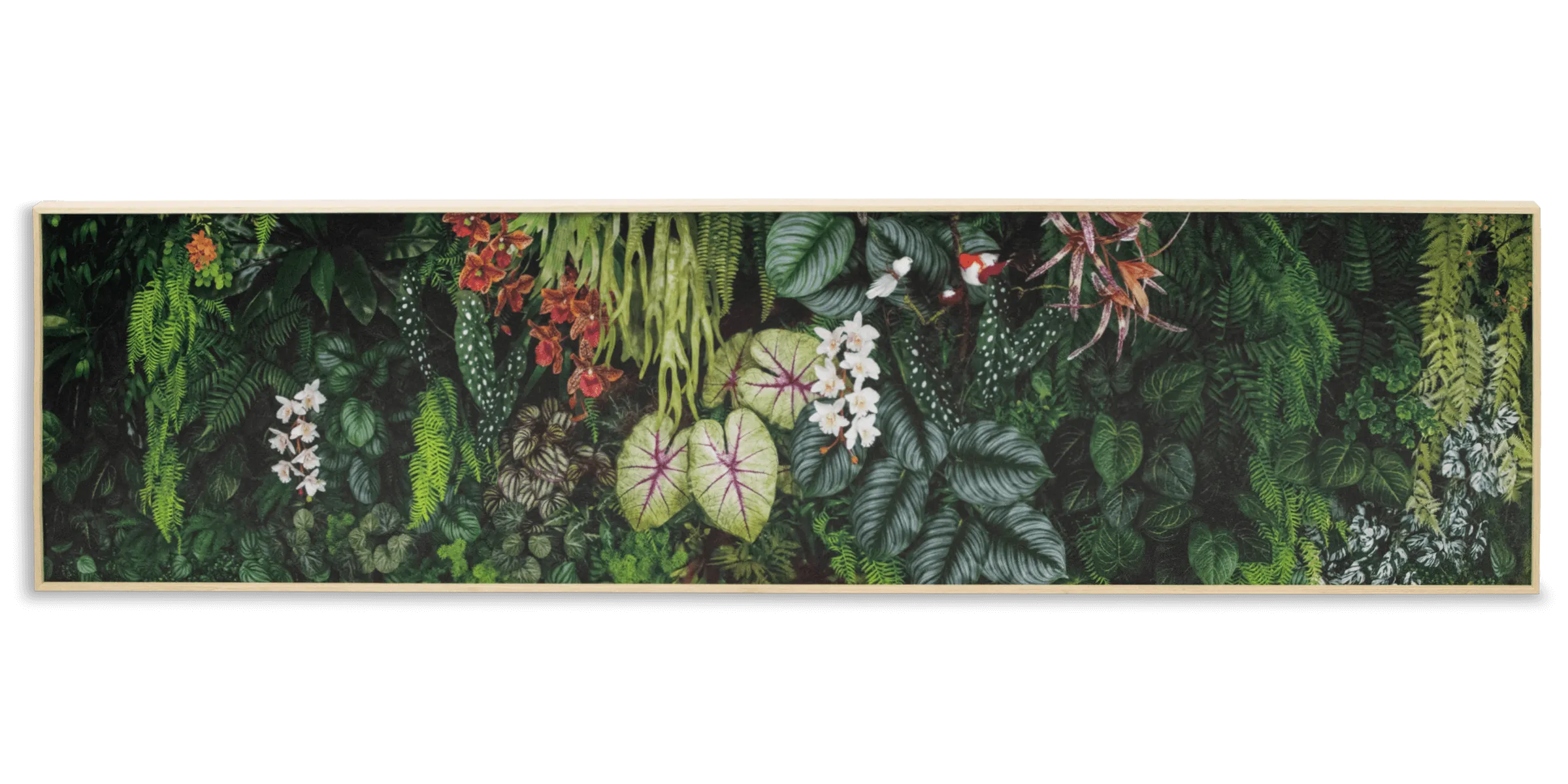 Daintree Dreaming - 40 x 150cm Outdoor UV Wall Art with Beech Aluminium Frame