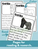 Gorilla facts Read Write Color African animal activity