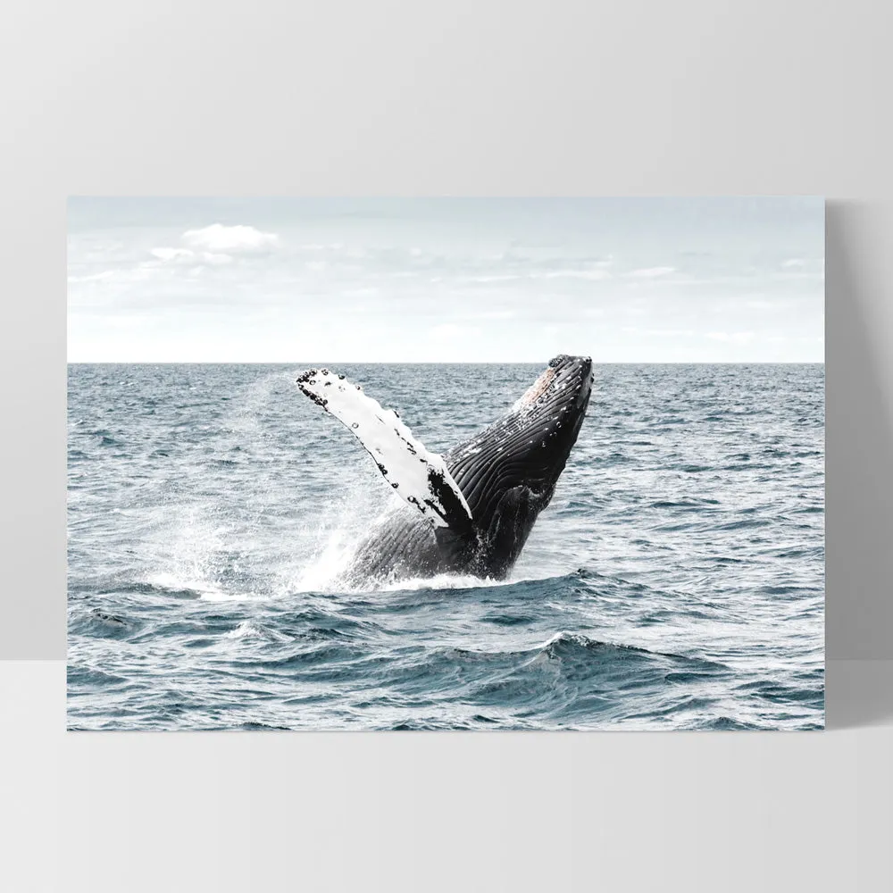 Humpback Whale - Art Print