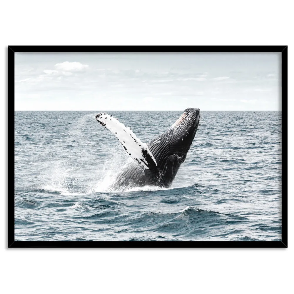 Humpback Whale - Art Print