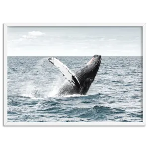 Humpback Whale - Art Print