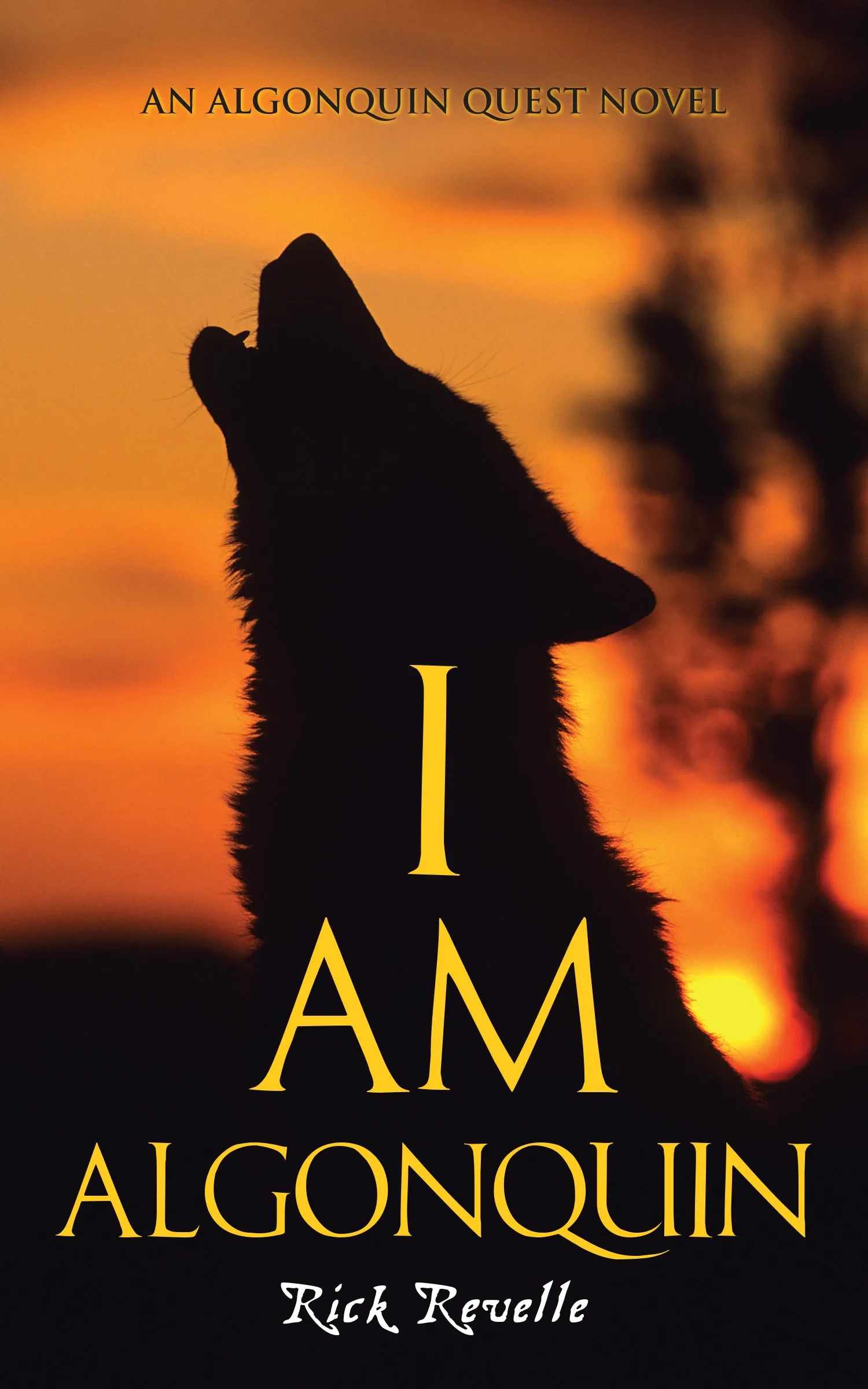 I Am Algonquin: An Algonquin Quest Novel