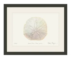 Ivory Sand Dollar II Print